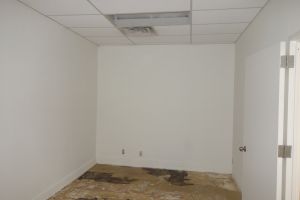 314 Madison Ave. Office Space