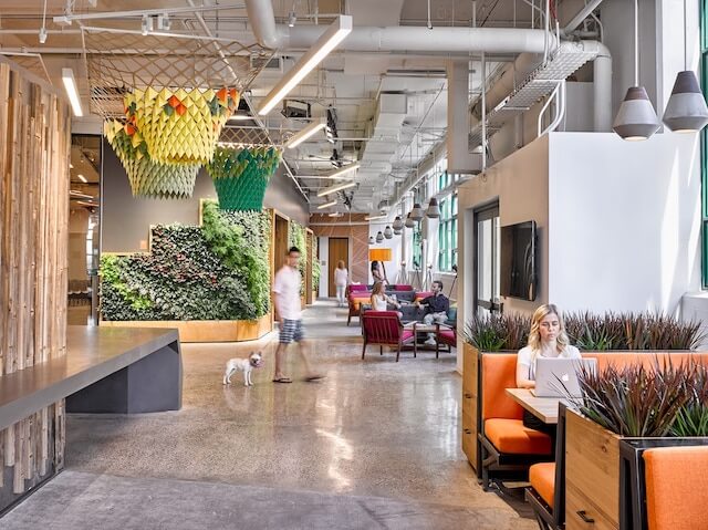 How to Make Your Office a “Green” Haven