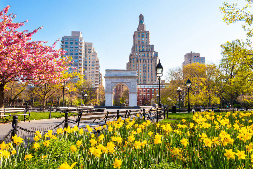A view of Washington Square Park in New York City in the springtime.