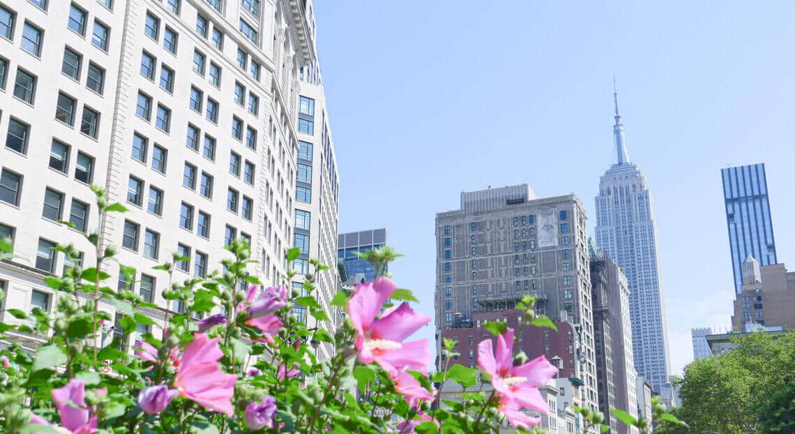 A view of the Manhattan skyline from Gramercy Park.