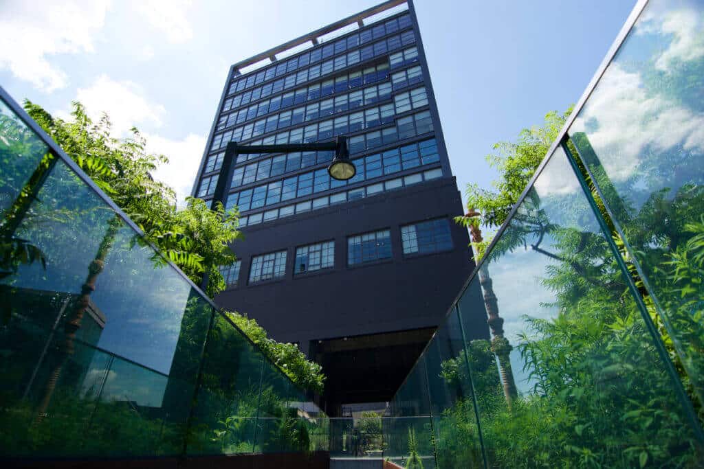 High Line view: park on historic rail line above Meatpacking District streets.