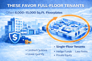 Blue Boutique Class A Buildings infographic with floorplan, tenant info.